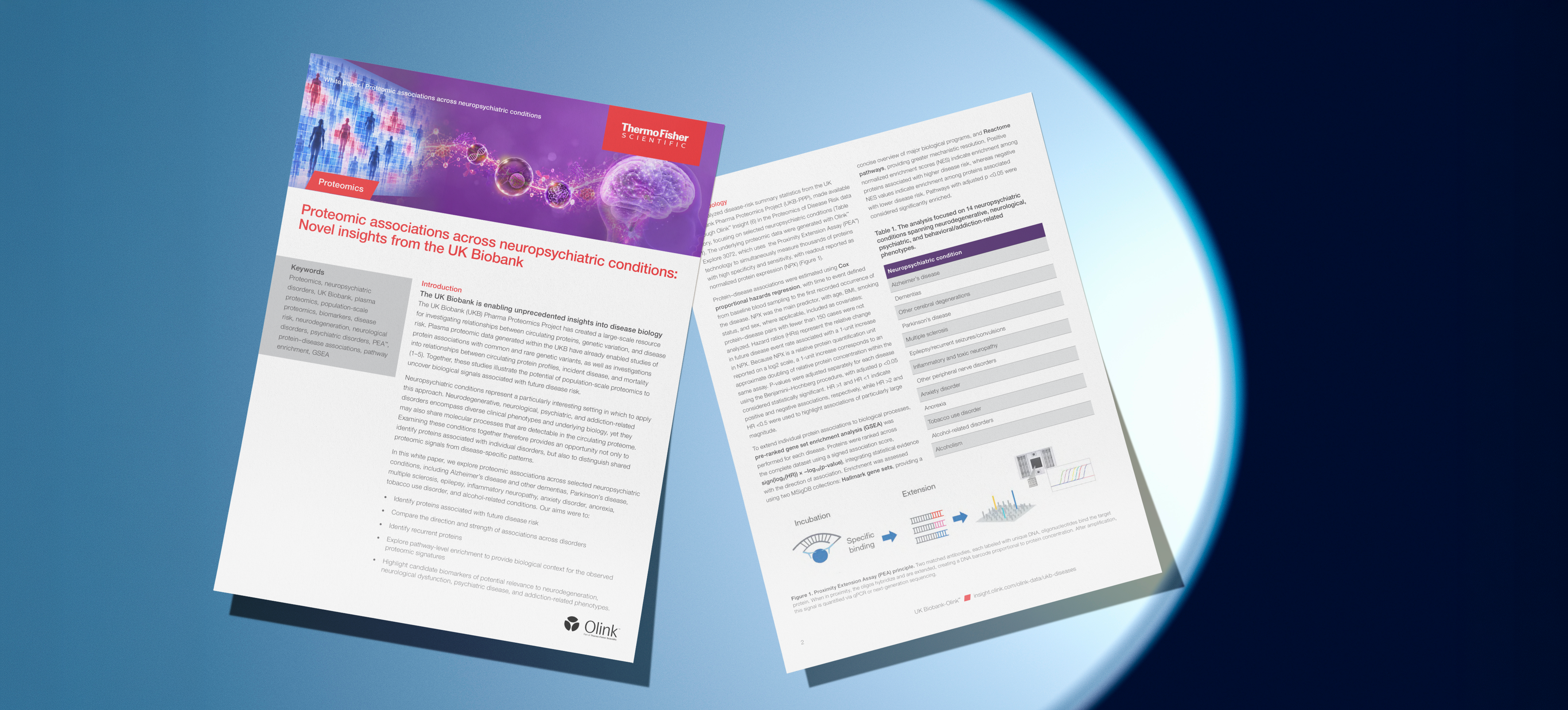 Proteomic associations across neuropsychiatric conditions WP mockup
