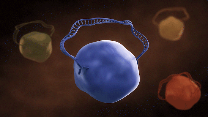 PEA-animation-Section-2-platform
